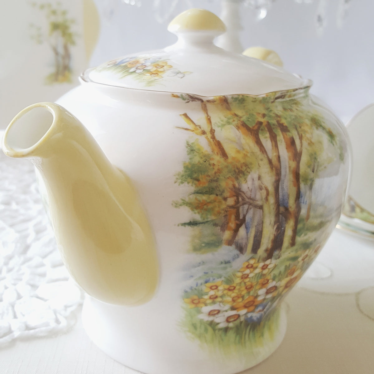 Shelley シェリー daffodil time ダフォディルタイム カップ＆ソーサー