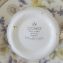 Load image into Gallery viewer, Duchess &#39;Spring Days&#39; Tea Set for 2